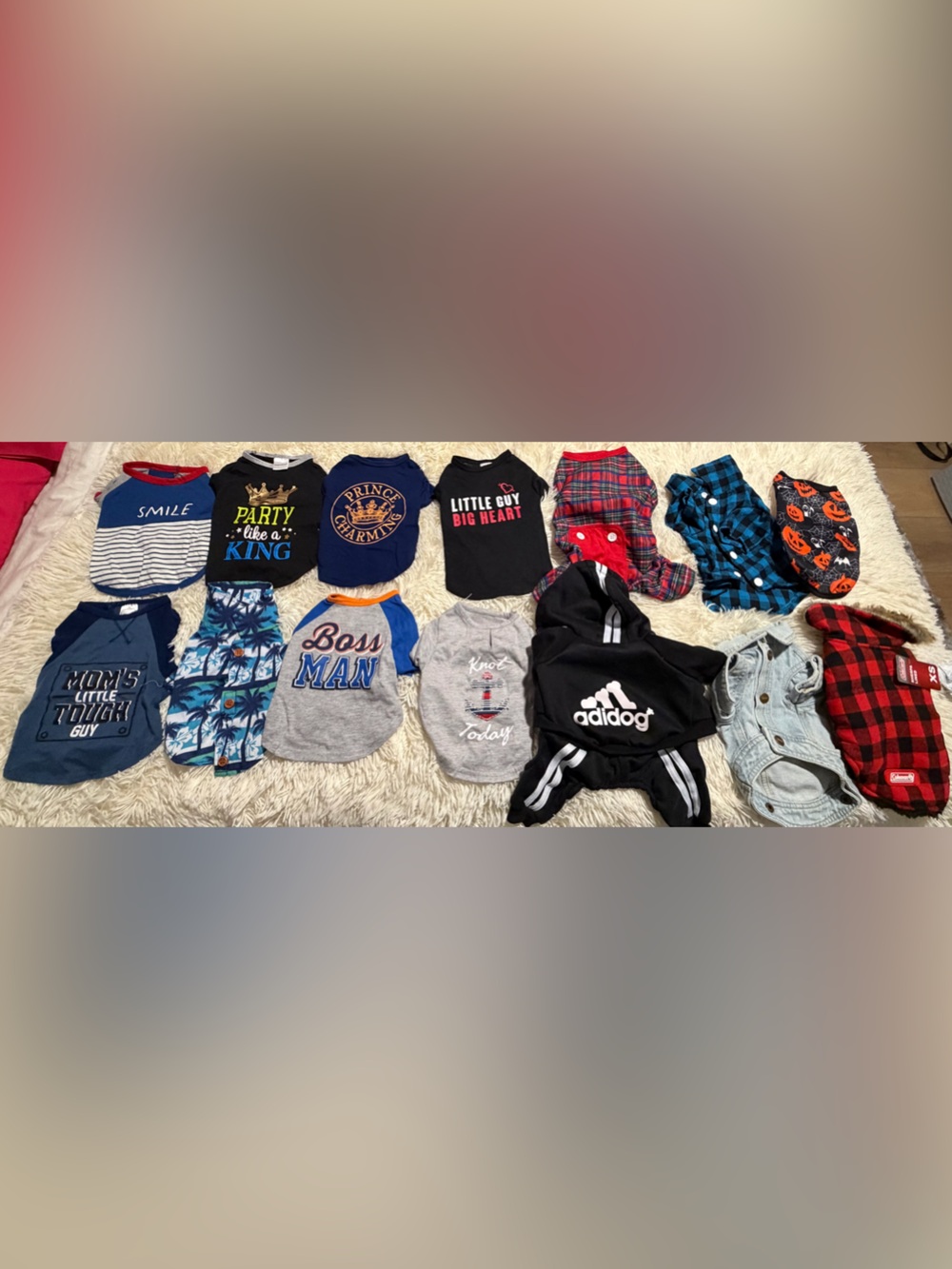 XS dog clothes some brand new and some used